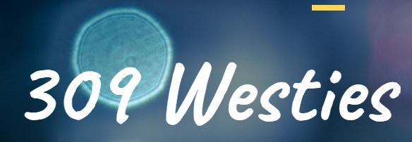 309 Westies